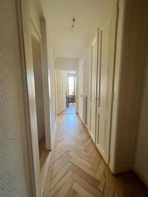 Magnifique Appartement En Plein Centre De Geneve Appartamento Ginevra